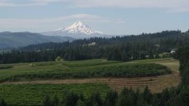 5.7K aerial stock footage fly over vineyards toward orchards and Mt Hood, Hood River, Oregon Aerial Stock Footage | DX0001_015_026