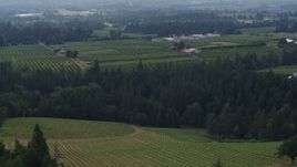 5.7K aerial stock footage of Phelps Creek Vineyards and neighboring orchards in Hood River, Oregon Aerial Stock Footage | DX0001_015_029