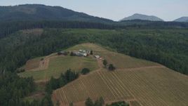 5.7K aerial stock footage of a view of vineyards and winery beside forest, Hood River, Oregon Aerial Stock Footage | DX0001_015_033