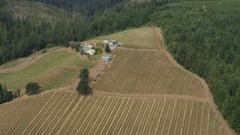 5.7K aerial stock footage orbit around grapevines and winery, Hood River, Oregon Aerial Stock Footage | DX0001_016_006