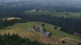 5.7K aerial stock footage of orbiting Phelps Creek Vineyards in Hood River, Oregon Aerial Stock Footage | DX0001_016_015