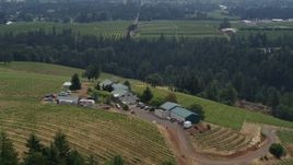 6k drone aerial stock footage of a wide orbit of the Phelps Creek Vineyards on a hill in Hood River, Oregon Aerial Stock Footage | DX0001_016_019