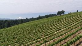 5.7K aerial stock footage flying low over the vineyard with Mt Hood in the distance, Hood River, Oregon Aerial Stock Footage | DX0001_017_002