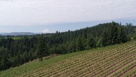 5.7K aerial stock footage of panning across vineyard and trees in Hood River, Oregon Aerial Stock Footage | DX0001_017_004
