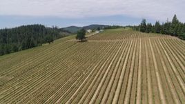 5.7K aerial stock footage of passing by grapevines with winery in the distance, Hood River, Oregon Aerial Stock Footage | DX0001_017_007