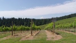 5.7K aerial stock footage ascending over the fields of grapevines with a view of Mt Hood, Hood River, Oregon Aerial Stock Footage | DX0001_017_010