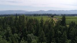 5.7K aerial stock footage fly over fields trees to reveal orchards, Hood River, Oregon Aerial Stock Footage | DX0001_017_016