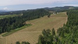 5.7K aerial stock footage of Phelps Creek Vineyards and fly over the grapevines, Hood River, Oregon Aerial Stock Footage | DX0001_017_022