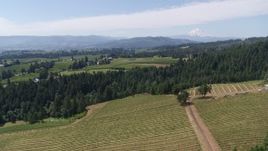 5.7K aerial stock footage of a reverse view of grapevines at Phelps Creek Vineyards with a view of Mount Hood, Hood River, Oregon Aerial Stock Footage | DX0001_017_024