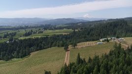 5.7K aerial stock footage of flying over grapevines at Phelps Creek Vineyards with a view of Mount Hood, Hood River, Oregon Aerial Stock Footage | DX0001_017_025