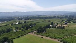 5.7K aerial stock footage of flying over grapevines at Phelps Creek Vineyards toward orchards, Hood River, Oregon Aerial Stock Footage | DX0001_017_026