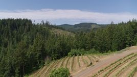5.7K aerial stock footage of flying over hillside grapevines at Phelps Creek Vineyards in Hood River, Oregon Aerial Stock Footage | DX0001_017_030