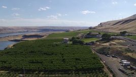 5.7K aerial stock footage of the Maryhill Winery and vineyards beside the Columbia River in Goldendale, Washington Aerial Stock Footage | DX0001_018_007