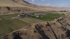 5.7K aerial stock footage of a view of the Maryhill Winery and vineyards from a cliff in Goldendale, Washington Aerial Stock Footage | DX0001_018_012