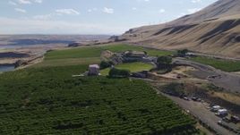 5.7K aerial stock footage of flying over grapevines to approach Maryhill Winery in Goldendale, Washington Aerial Stock Footage | DX0001_018_015