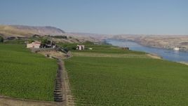 5.7K aerial stock footage flyby the Maryhill Winery and vineyard to the Columbia River in Goldendale, Washington Aerial Stock Footage | DX0001_019_006