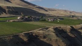 5.7K aerial stock footage of the Maryhill Winery, amphitheater, and vineyard in Goldendale, Washington Aerial Stock Footage | DX0001_019_007