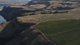 5.7K aerial stock footage fly over vineyard toward Lewis and Clark Highway in Goldendale, Washington Aerial Stock Footage | DX0001_019_028