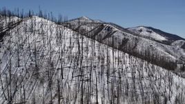 5.7K aerial stock footage of flying over snowy mountain slope with dead trees, New Mexico Aerial Stock Footage | DX0002_134_026