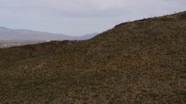 5.7K aerial stock footage reverse view of cactus and vegetation on Sentinel Peak in Tucson, Arizona Aerial Stock Footage | DX0002_145_013
