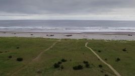 4K aerial stock footage of groups of people enjoying the beach in Long Beach, Washington Aerial Stock Footage | DX0002_148_001