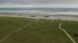 4K aerial stock footage reverse view of people on the beach in Long Beach, Washington Aerial Stock Footage | DX0002_148_005