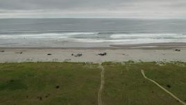 4K aerial stock footage of approaching people on the beach and ocean in Long Beach, Washington Aerial Stock Footage | DX0002_148_007