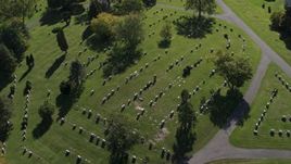 5.7K aerial stock footage a bird's eye view of graves at Morningside Cemetery in Syracuse, New York Aerial Stock Footage | DX0002_211_008