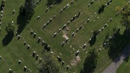 5.7K aerial stock footage a bird's eye view of gravestones at Morningside Cemetery in Syracuse, New York Aerial Stock Footage | DX0002_211_009