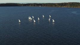 5.7K aerial stock footage circling a group of sailboats on Lake Champlain, Burlington, Vermont Aerial Stock Footage | DX0002_224_054