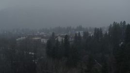 5.7K aerial stock footage focus on Christmas trees during descent, Leavenworth, Washington Aerial Stock Footage | DX0002_227_024