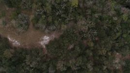 5.7K aerial stock footage of a bird's eye view of forest trees and clearings in Orlando, Florida Aerial Stock Footage | DX0003_234_034