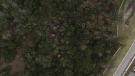 5.7K aerial stock footage of a bird's eye view of trees on the edge of a forest, Orlando, Florida Aerial Stock Footage | DX0003_234_036