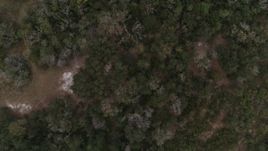 5.7K aerial stock footage overhead view of a forest clearing and trees, reveal river, Orlando, Florida Aerial Stock Footage | DX0003_234_040