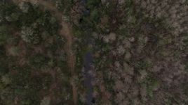 5.7K aerial stock footage descend toward a river in a forest, Orlando, Florida Aerial Stock Footage | DX0003_234_041