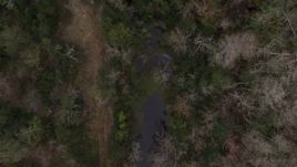 5.7K aerial stock footage descend toward a narrow river in a forest, Orlando, Florida Aerial Stock Footage | DX0003_234_042