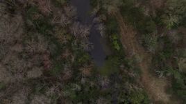 5.7K aerial stock footage flying above a narrow river in a forest and ascend, Orlando, Florida Aerial Stock Footage | DX0003_234_044