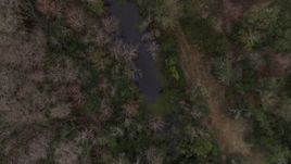 5.7K aerial stock footage descend toward a narrow forest river, Orlando, Florida Aerial Stock Footage | DX0003_234_046