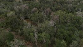 5.7K aerial stock footage of flying over forest trees, Orlando, Florida Aerial Stock Footage | DX0003_234_053