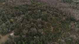 5.7K aerial stock footage of flying away from forest trees, Orlando, Florida Aerial Stock Footage | DX0003_234_059