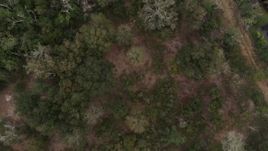 5.7K aerial stock footage ascend away from trees and clearings in a forest, Orlando, Florida Aerial Stock Footage | DX0003_234_064