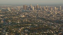 HD stock footage aerial video fly over Silver Lake neighborhoods to approach Downtown Los Angeles at sunset, California Aerial Stock Footage | HDA06_13
