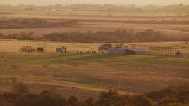 HD stock footage aerial video of flying by cows in a field and reveal a barn at sunset in Nocona, Texas Aerial Stock Footage | HDA12_143