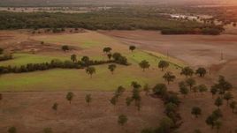 HD stock footage aerial video of cows grazing on a pasture at sunset in Texas Aerial Stock Footage | HDA12_161
