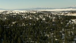 HD stock footage aerial video fly over a mountain ridge with evergreen trees in Park County, Colorado Aerial Stock Footage | HDA13_318