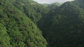 5K stock footage video approach waterfall in forested mountains on Hong Kong Island, China Aerial Stock Footage | SS01_0107