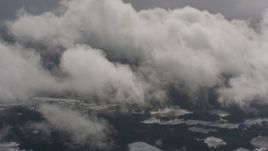 4K stock footage aerial video fly over cloud layer to reveal snowy evergreen forest below in Washington Aerial Stock Footage | WA004_093