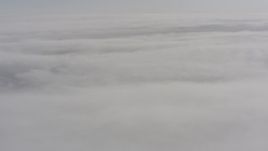 4K stock footage aerial video of a wide expanse of cloud cover over Oregon Aerial Stock Footage | WA004_100