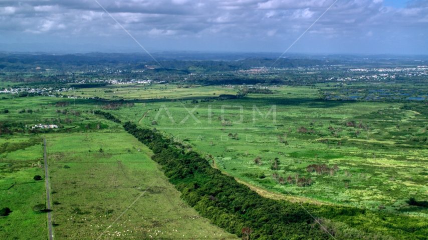 Lush green grassland, Toa Baja, Puerto Rico Aerial Stock Photo AX101_030.0000000F | Axiom Images