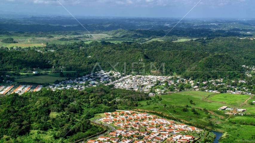 Rural neighborhood beside dense cluster of trees in Dorado, Puerto Rico  Aerial Stock Photo AX101_034.0000279F | Axiom Images